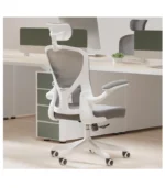 SICHY AGE Ergonomic Office Chair