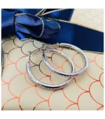 Silver Hoop Earrings for Women