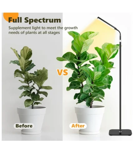 Grow Lights for Indoor Plants